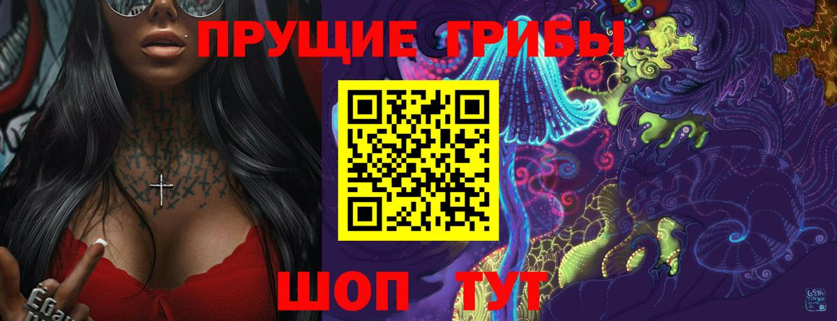 Галлюциногенные грибы Psilocybe Ефремов
