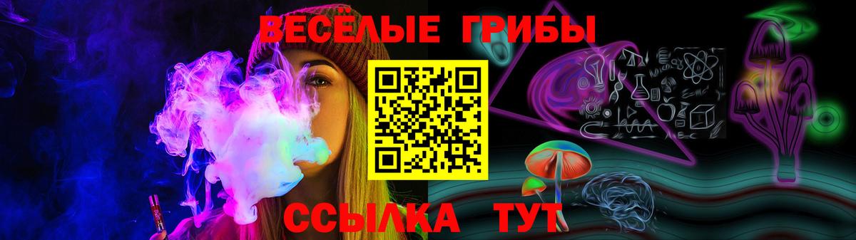 Галлюциногенные грибы Magic Shrooms  Псилоцибиновые грибы GOLDEN TEACHER  Вход с VPN  Ефремов 